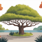 Illustration cyprès chauve racines genoux jardin plan d’eau