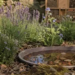 Attirer les pollinisateurs au jardin : hôtel à insectes, lavande et thym en fleurs