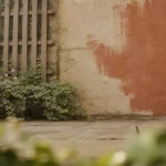 Comment habiller un mur extérieur : treillis, plantes grimpantes et mur repeint
