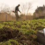 Engrais vert hiver : semis d’automne dans un potager