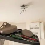 Installer luminaire plafond : rosace métallique et chevilles adaptées, câblage plafond