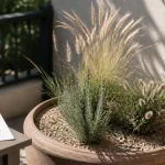 Plante soleil : lavande et graminées sur terrasse plein sud